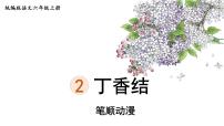 2020-2021学年2 丁香结课堂教学ppt课件