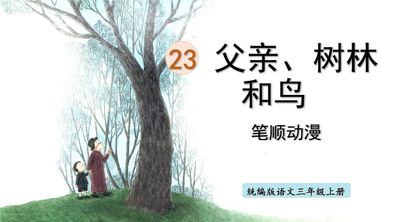 23.《父亲、树林和鸟》 生字课件（笔顺动漫）01