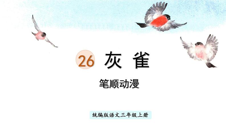 26.《灰雀》 生字课件（笔顺动漫）01