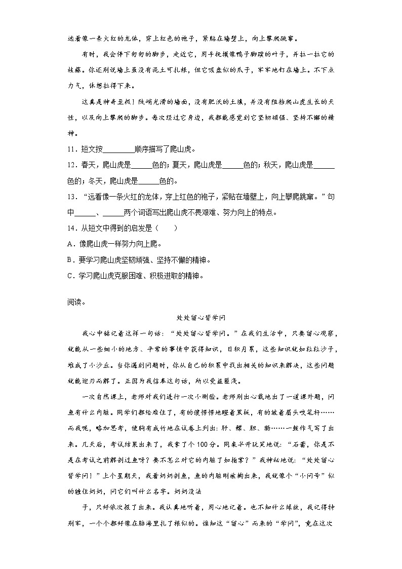 部编版语文四年级上期末课外现代文阅读专项复习 练习03