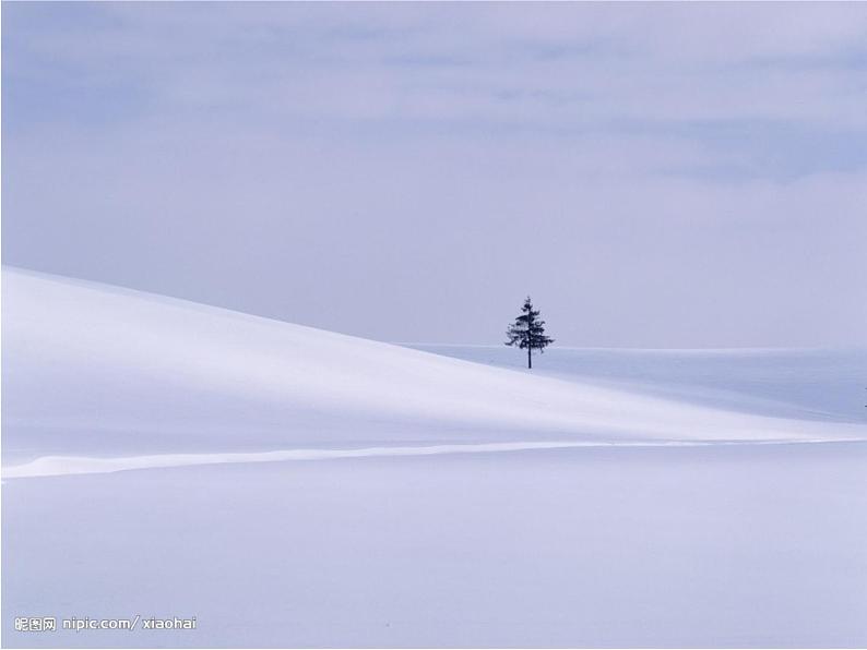 一年级语文上册课件 - 《12.雪地里的小画家》 部编版  (共53张PPT)第3页