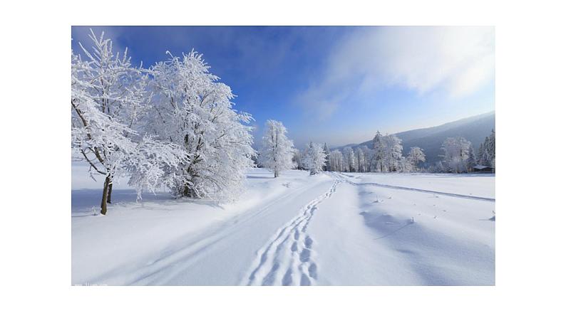 一年级上册语文课件-12 雪地里的小画家 部编版 (共37张PPT)第5页