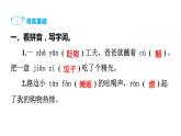 六年级下册语文练习课件-1　北京的春节 部编版(共18张PPT)