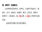 六年级下册语文练习课件-1　北京的春节 部编版(共18张PPT)