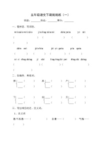 五年级语文下册周周练1