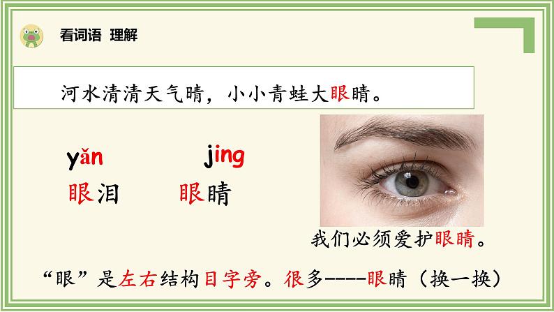 部编版语文一下《小青蛙》第一课时课件PPT（送教案）06