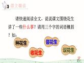 小学五年级上册语文《落花生》PPT课件+教案（第二课时）