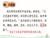 小学五年级上册语文《落花生》PPT课件+教案（第二课时）