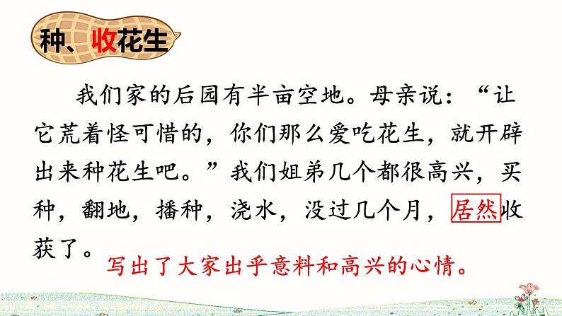 《落花生》ppt课件第4页
