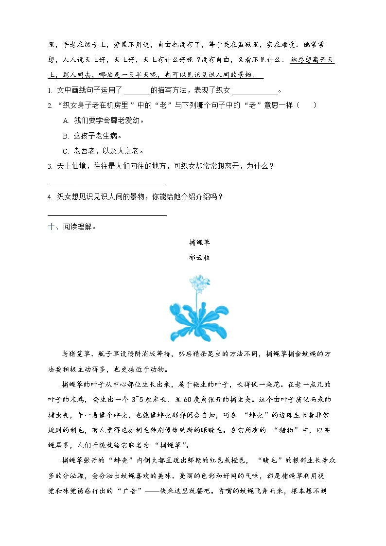 部编版语文五年级上册第三单元能力提升卷（含答案）03