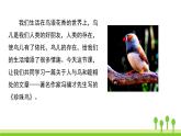 五四制五年級(jí)語(yǔ)文上冊(cè) 第一單元 第4課珍珠鳥 PPT課件