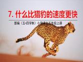 五四制五年級語文上冊 第二單元 第7課什么比獵豹的速度更快 PPT課件
