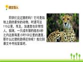 五四制五年級語文上冊 第二單元 第7課什么比獵豹的速度更快 PPT課件