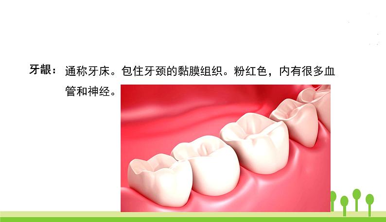 五四制五年级语文上册 第四单元 第15课小岛 PPT课件07