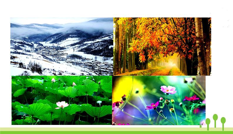 五四制五年级语文上册 第七单元 第22课四季之美 PPT课件03