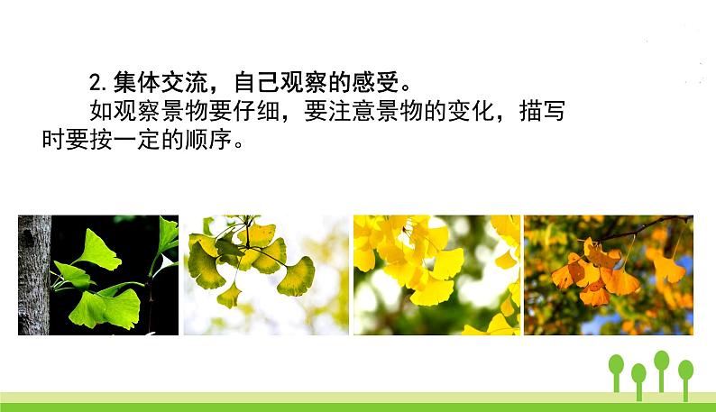 五四制五年级语文上册 第七单元 习作 PPT课件04
