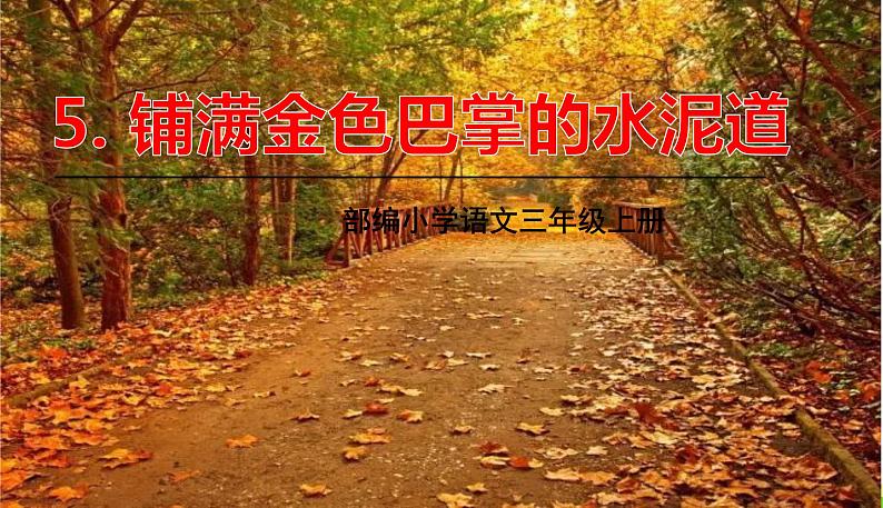 五四制三年级语文上册 5.铺满金色巴掌的水泥道 PPT课件01