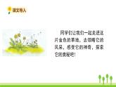 五四制三年级语文上册 16.金色的草地 PPT课件