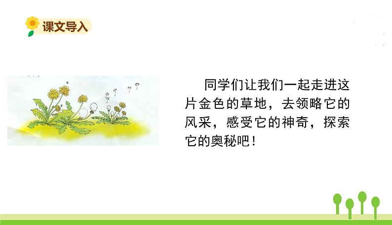 五四制三年级语文上册 16.金色的草地 PPT课件03