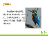 五四制三年级语文上册 15.搭船的鸟 PPT课件
