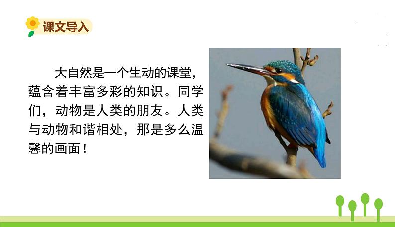 15.搭船的鸟第3页