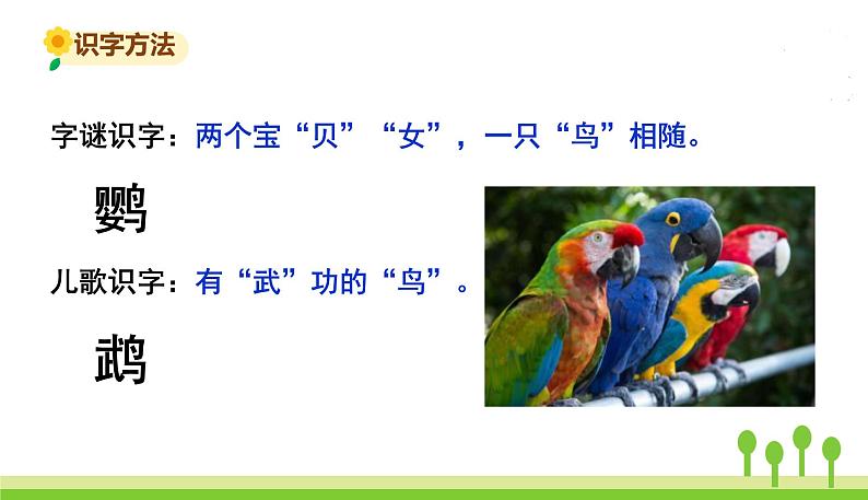 15.搭船的鸟第5页
