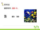 五四制三年级语文上册 18.富饶的西沙群岛 PPT课件