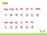 五四制三年级语文上册 20.美丽的小兴安岭 PPT课件