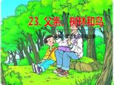 五四制三年級(jí)語(yǔ)文上冊(cè) 23.父親、樹林和鳥 PPT課件