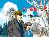 五四制三年级语文上册 25.灰雀 PPT课件