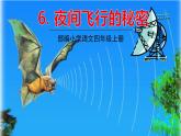 五四制四年級(jí)語(yǔ)文上冊(cè) 第二單元 6夜間飛行的秘密 PPT課件