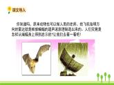 五四制四年級(jí)語(yǔ)文上冊(cè) 第二單元 6夜間飛行的秘密 PPT課件