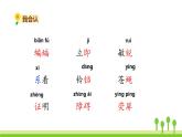 五四制四年級(jí)語(yǔ)文上冊(cè) 第二單元 6夜間飛行的秘密 PPT課件
