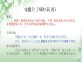 部编版四年级上册20《陀螺》精品公开课PPT课件PPT