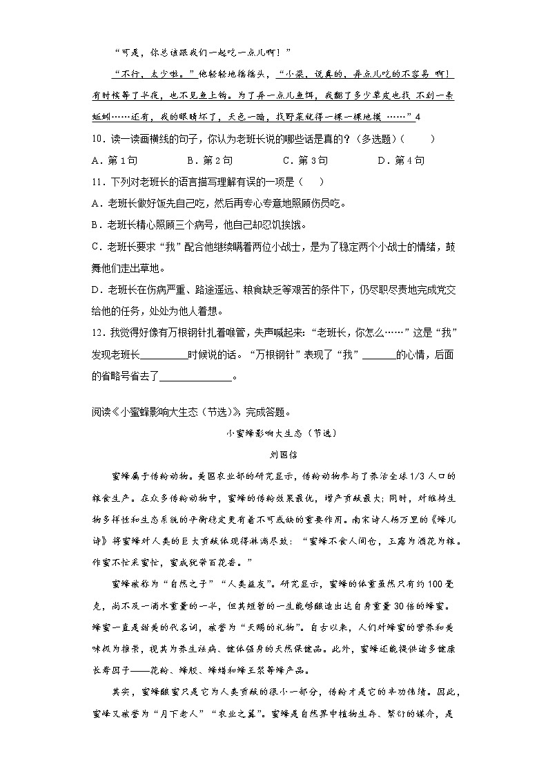 部编版语文六年级上册期末总复习试题（二）第3页