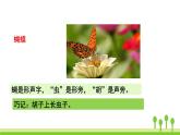五四制二年級(jí)語文上冊(cè) 識(shí)字4 田家四季歌 PPT課件