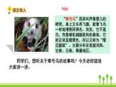 五四制二年级语文上册 13.寒号鸟 PPT课件