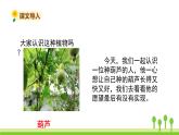 五四制二年級語文上冊 14.我要的是葫蘆 PPT課件