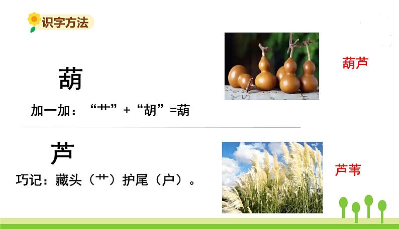 14我要的是葫芦第6页