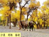 五四制二年級語文上冊 語文園地七 PPT課件