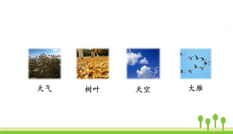 五四制一年级语文上册 第四单元 课文1秋天 PPT课件03