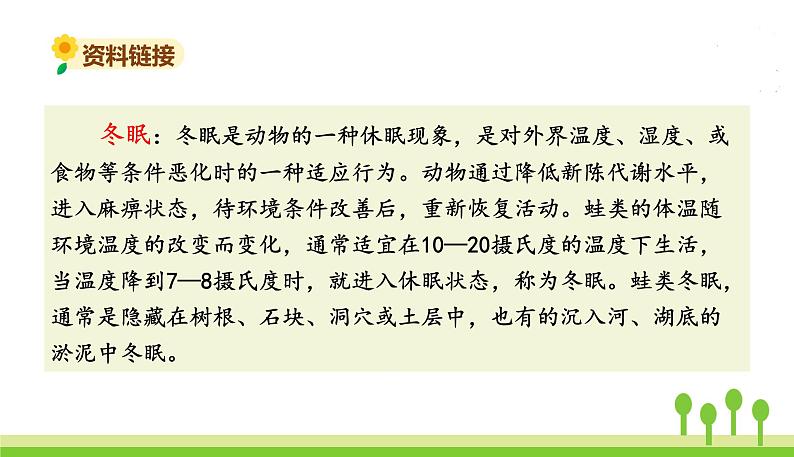 五四制一年级语文上册 第八单元 课文12雪地里的小画家 PPT课件03