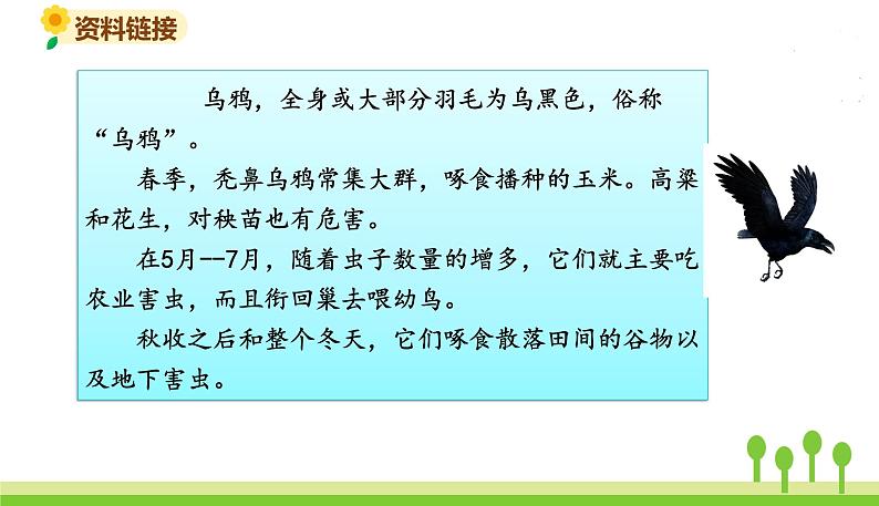 五四制一年级语文上册 第八单元 课文13乌鸦喝水 PPT课件03