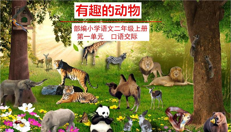 五四制二年级语文上册 第一单元口语交际 有趣的动物 PPT课件01