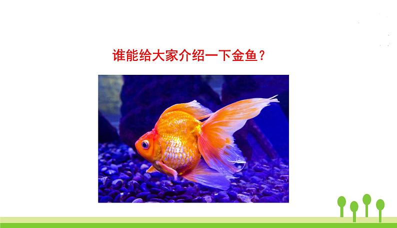 五四制二年级语文上册 第一单元口语交际 有趣的动物 PPT课件08