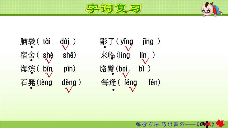 2021年部编版小学语文3年级上册第6单元期末复习课件03