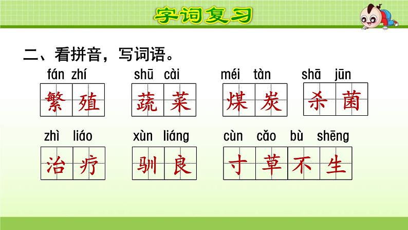 2021年部编版小学语文5年级上册第5单元期末复习课件第3页