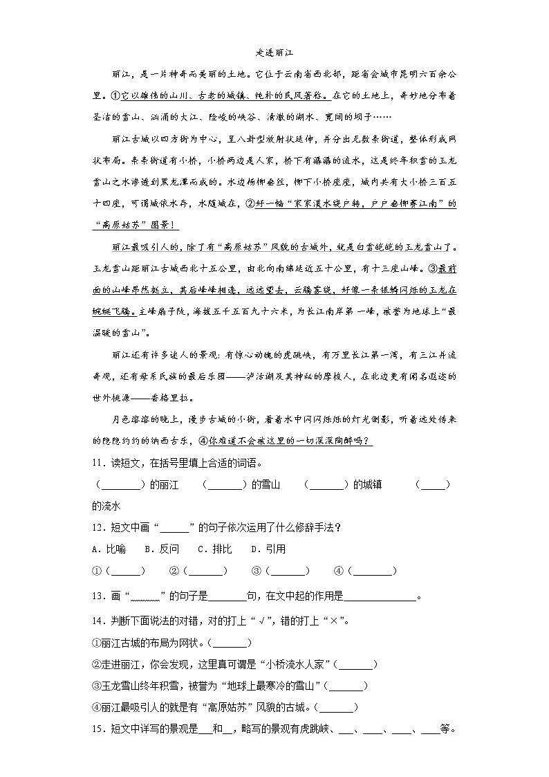 部编版语文四年级上期末综合复习试题（二）第3页