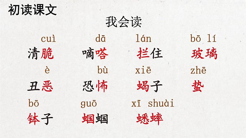 部编版 语文六年级下册 16 表里的生物 课件+视频05