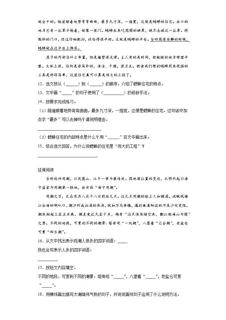 部编版语文四年级上期末综合复习试题（九）第3页
